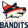 温哥华大盗
